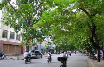 Hanoi street